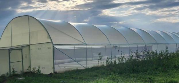 Greenhouse polythene film - Image 3