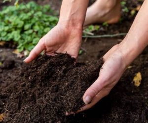 WhatsApp Image 2025-05-01 at 4.21.39 PM (1)